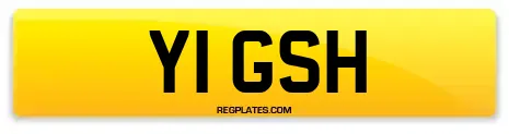 Y1 GSH