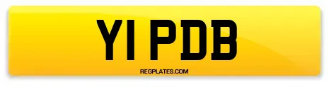 Y1 PDB
