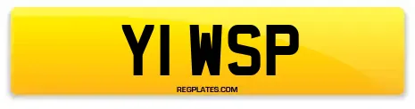 Y1 WSP