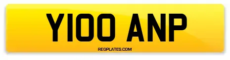 Y100 ANP
