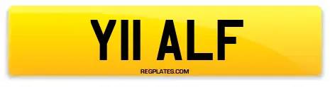 Y11 ALF