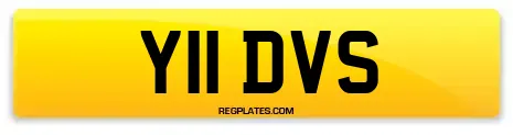 Y11 DVS