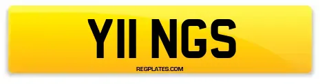 Y11 NGS