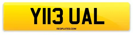 Y113 UAL