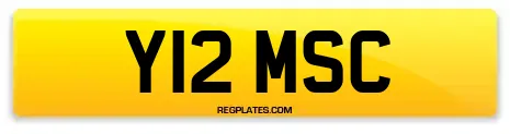 Y12 MSC