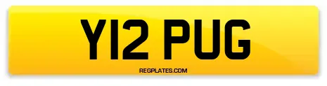Y12 PUG