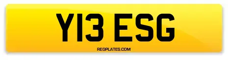 Y13 ESG