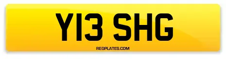 Y13 SHG