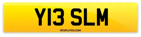 Y13 SLM
