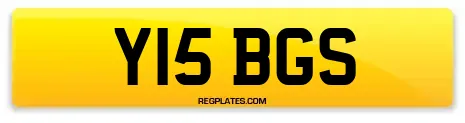 Y15 BGS