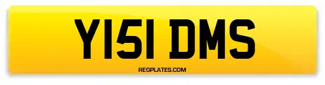 Y151 DMS