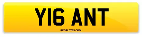 Y16 ANT