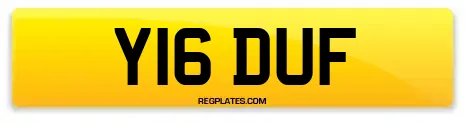 Y16 DUF