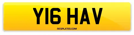 Y16 HAV