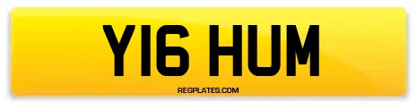 Y16 HUM