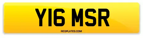 Y16 MSR
