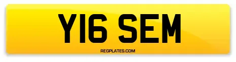 Y16 SEM