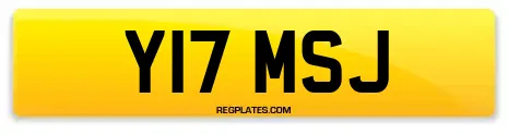Y17 MSJ
