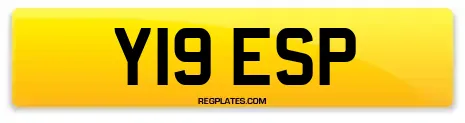 Y19 ESP