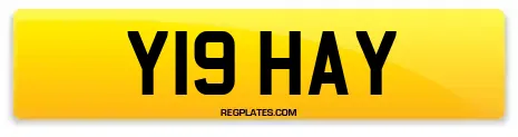 Y19 HAY