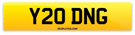 Y20 DNG