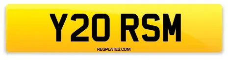 Y20 RSM