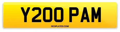 Y200 PAM