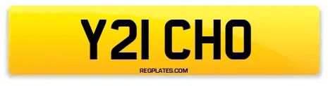 Y21 CHO