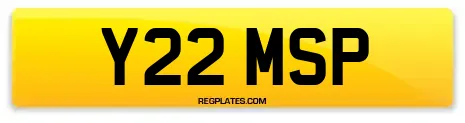 Y22 MSP