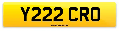 Y222 CRO