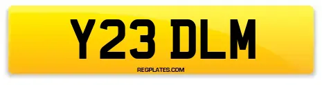 Y23 DLM