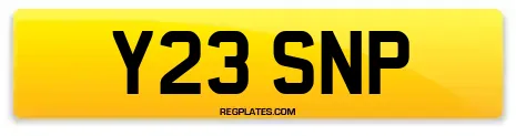 Y23 SNP