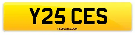 Y25 CES