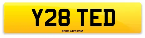 Y28 TED