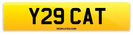 Y29 CAT