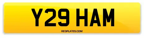 Y29 HAM