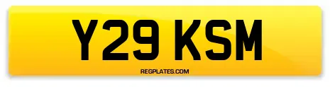 Y29 KSM