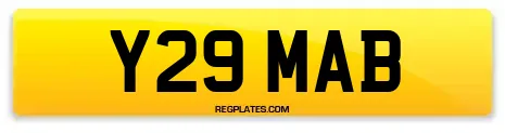 Y29 MAB
