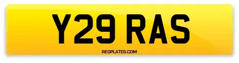 Y29 RAS