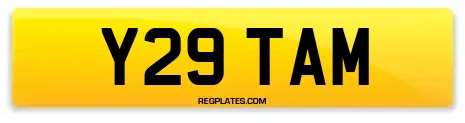 Y29 TAM
