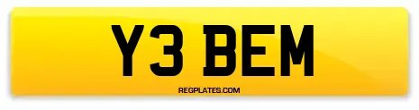 Y3 BEM