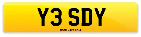 Y3 SDY