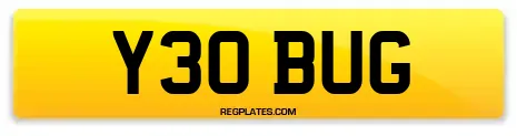 Y30 BUG
