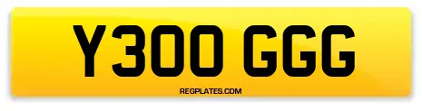 Y300 GGG
