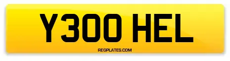 Y300 HEL