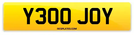 Y300 JOY