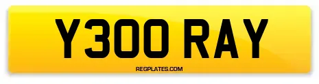Y300 RAY