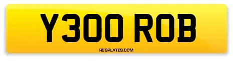Y300 ROB