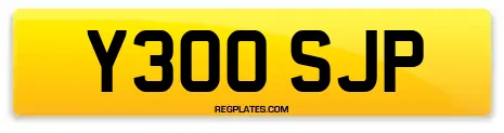 Y300 SJP