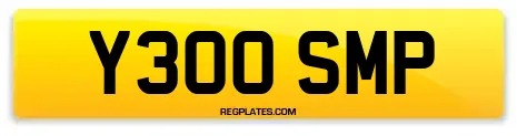 Y300 SMP